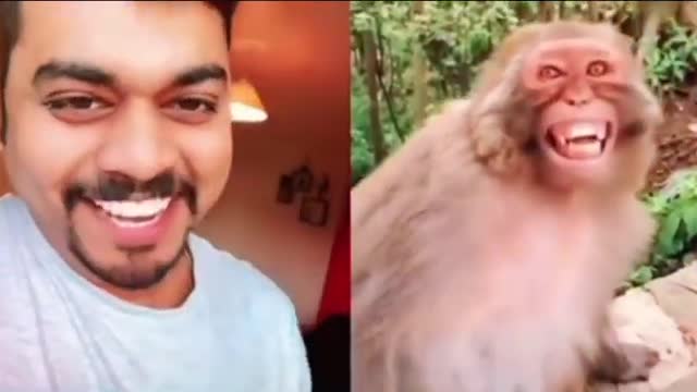 Funny Guy and monkey laughing!