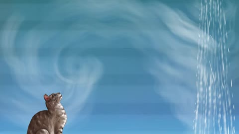 How to treat a cat with a cold