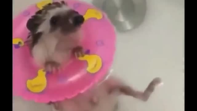 Nothing like a bath to relax😅