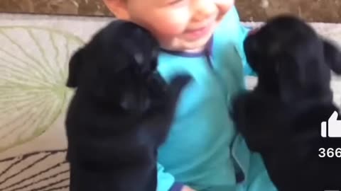 Animal baby and human baby