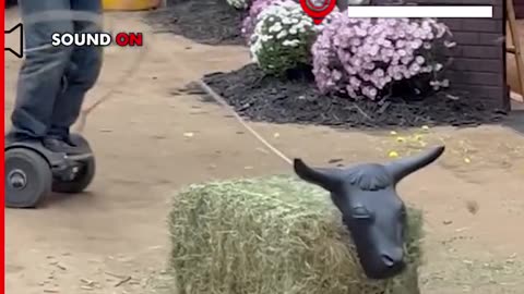🤣🤣🤣🤣🙆🏾