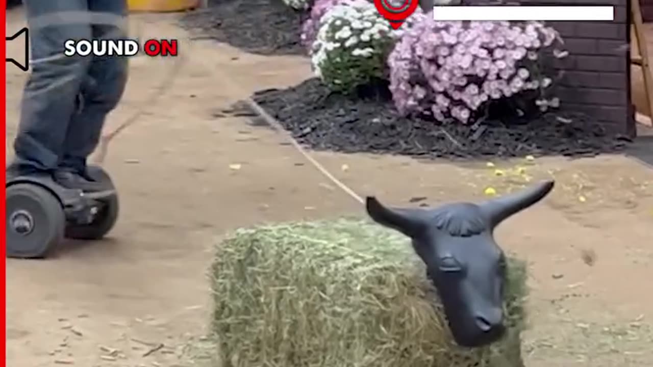 🤣🤣🤣🤣🙆🏾