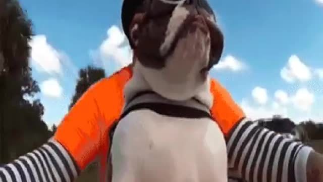 crazy videos 😀😀😀