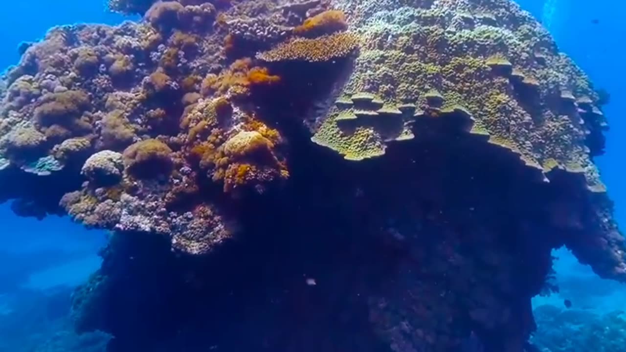 360 Scuba Diving Green Land