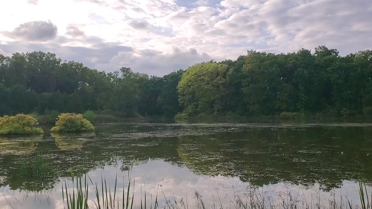 Neighborhood Pond at Sunset