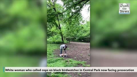 White woman who called cops on black birdwatcher in Central Park now facing prosecution