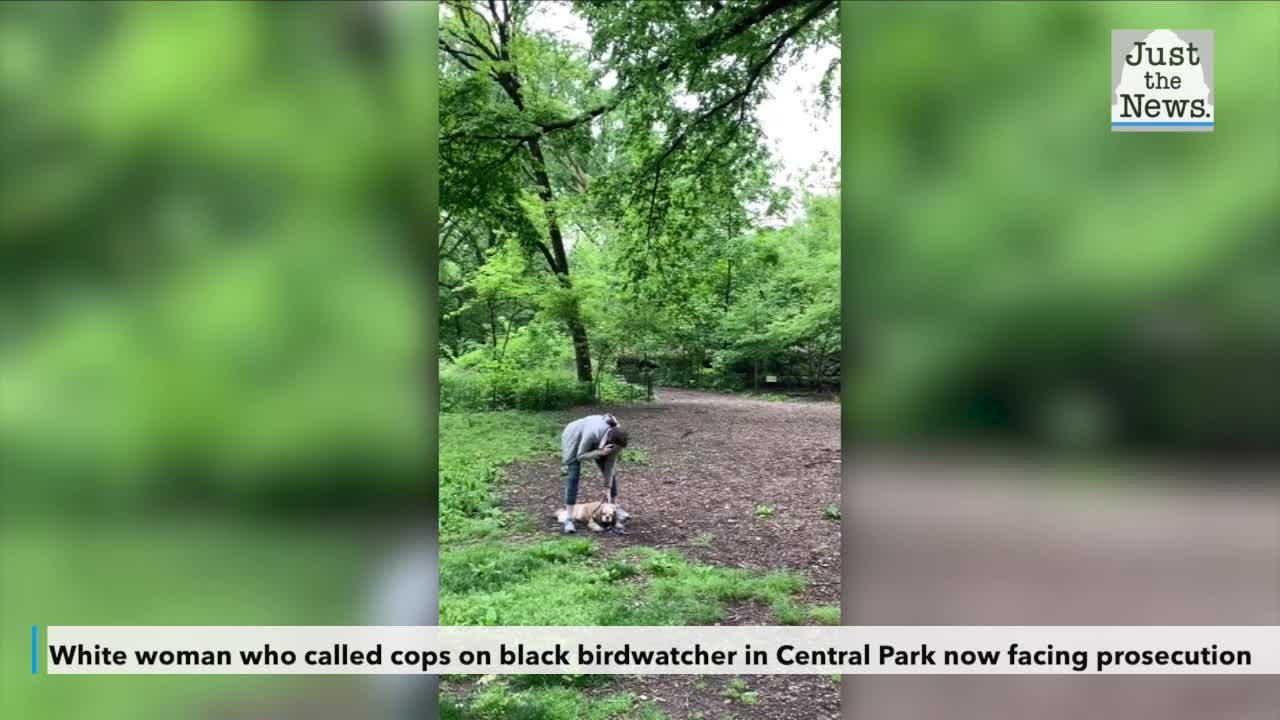 White woman who called cops on black birdwatcher in Central Park now facing prosecution