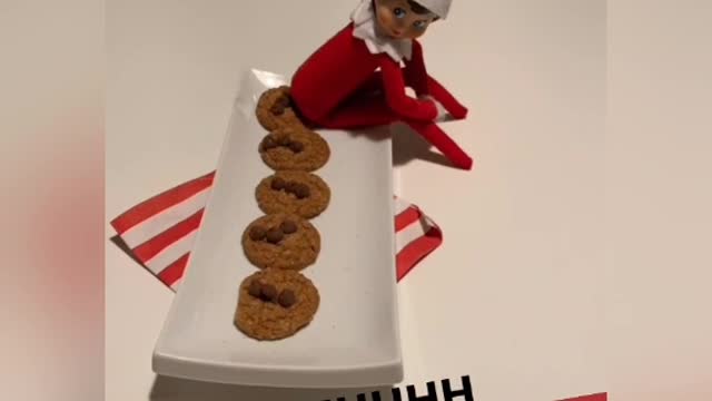 Christmas-elf sitting on cookies 😜🤣🤣