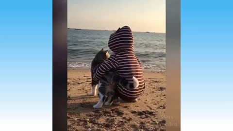 Compilación de mascotas lindas y animales divertidos ¡¡¡suscríbete !!!