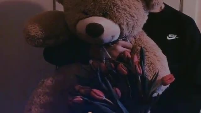 Teddy bear whatsapp status ! Velentine day special status WhatsApp