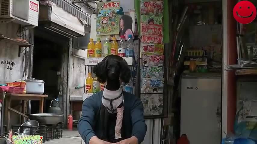 Right Moment Pics Photo fun girl 2016 Funny videos Funny pics compilation 2016_1