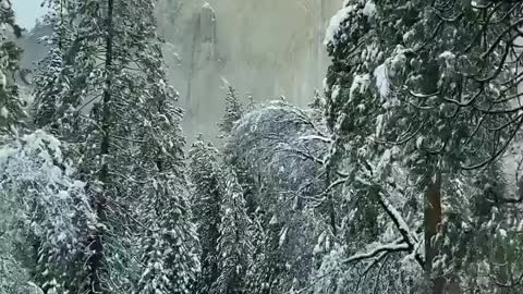 Magical drive in Yosemite National