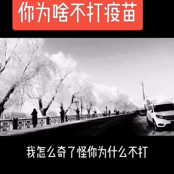 你為啥不打疫苗？！“我就不打，怎麼着？！”…你為什麼不打，調查一下！“假疫苗、毒疫苗”，（要我扁你是嗎！？還問…全球1700萬人死亡了！還問！）