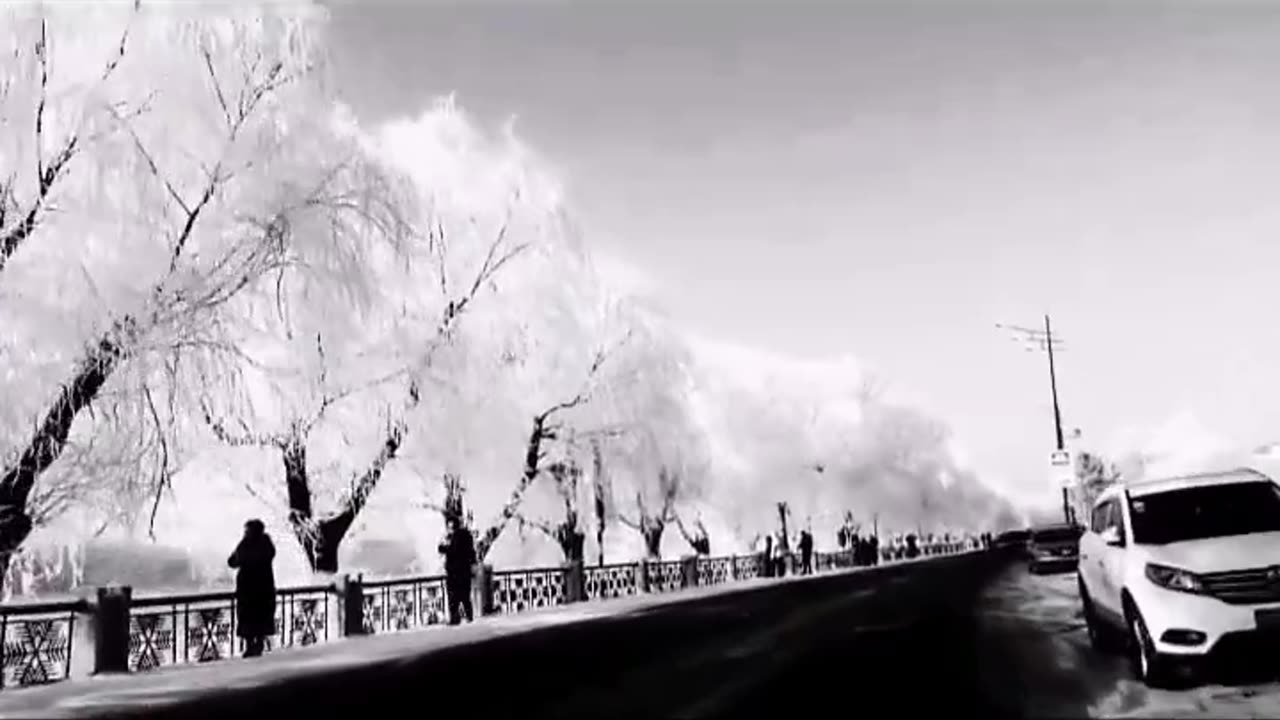 你為啥不打疫苗？！“我就不打，怎麼着？！”…你為什麼不打，調查一下！“假疫苗、毒疫苗”，（要我扁你是嗎！？還問…全球1700萬人死亡了！還問！）