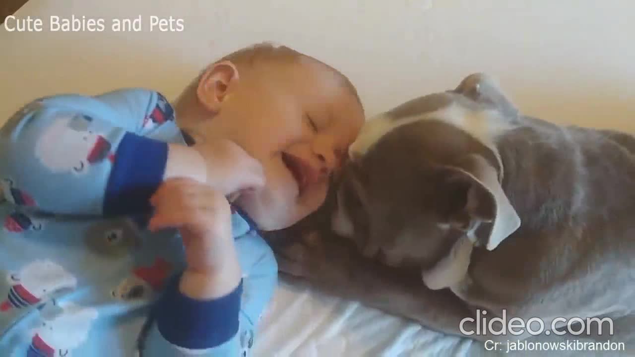 Puppies being REALLY NAUGHTY with Babies- Cant get enough of this!!!!