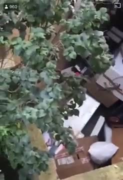 OMG, WTF 😱😱😱😱