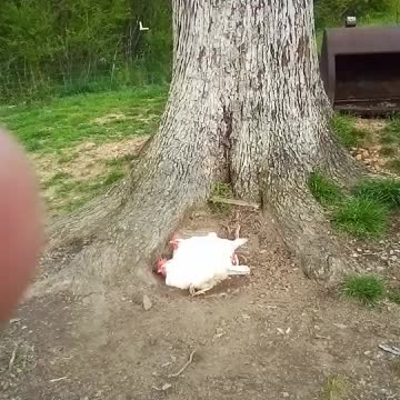 Everyone's favorite hole