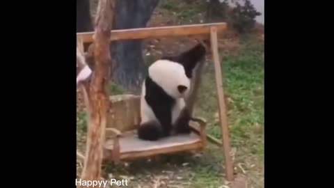 Funniest Cats and Dogs || 2023 || Funny and Fails Pets Video
