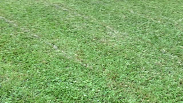 Little Boy Blue Prancing with ball