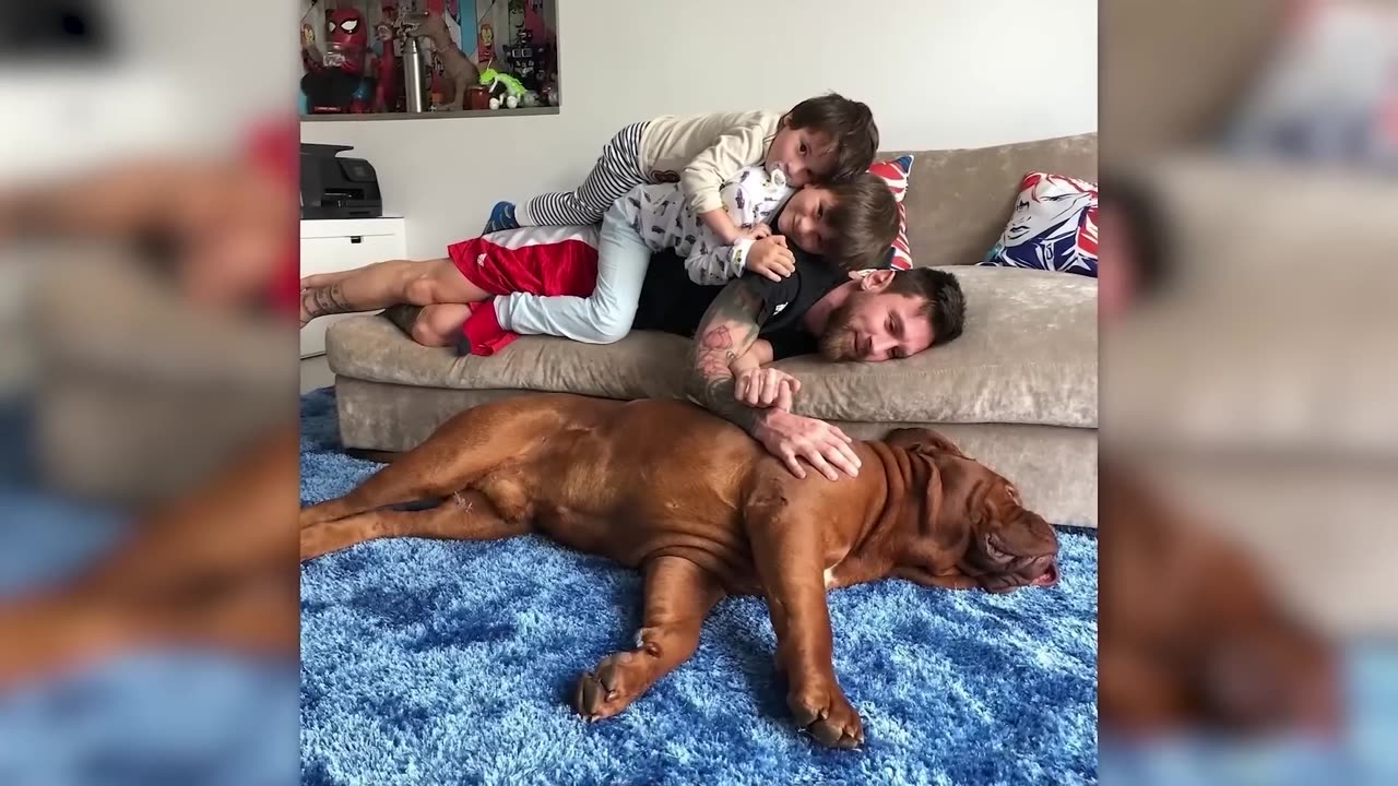 Before and after growing up incredibly animal changes.
