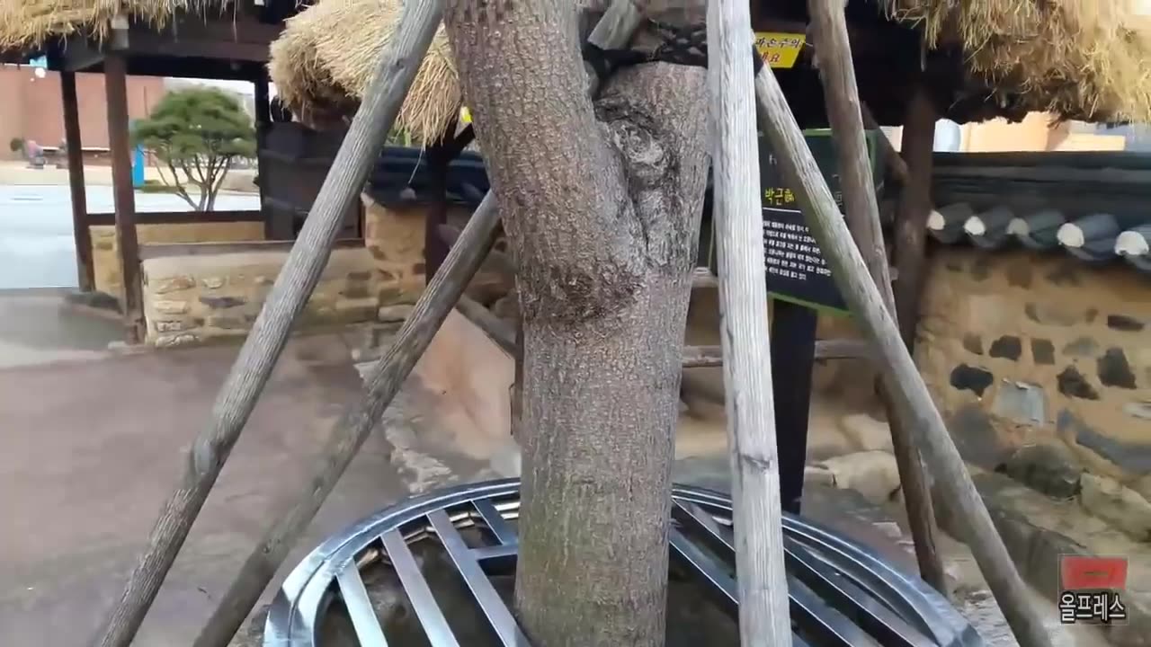 20190404_V3_S05(IzPn1wSWxi0)두 부녀대통령 관련 너무나도 신비한 자연현상