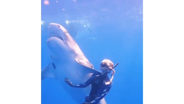 Under water girl playing with fish #viral#trending