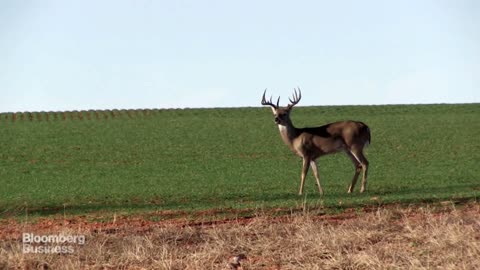 God Bless Texas! ~ song & video by Scott Kernaghan