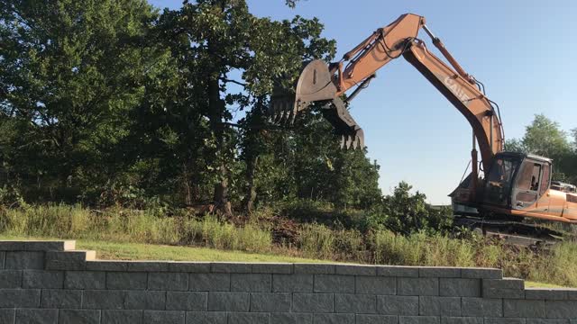 Excavator Snaps Tree