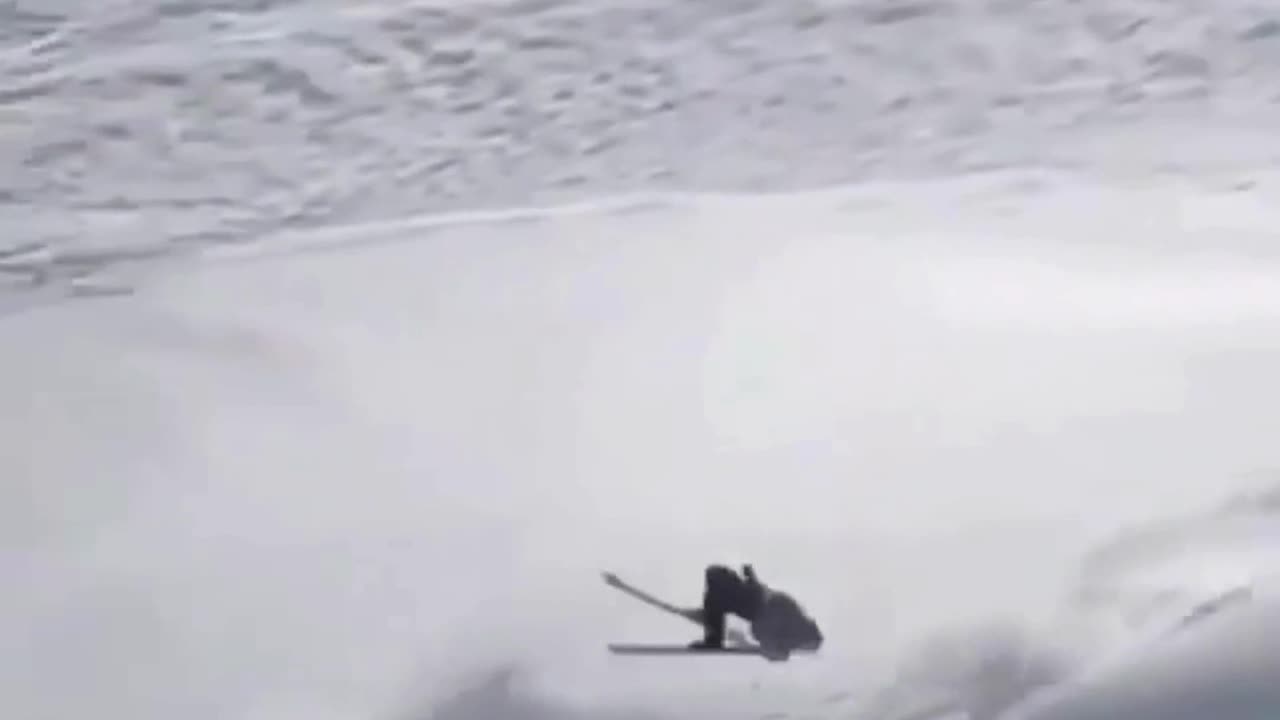 Riding and Avalanche