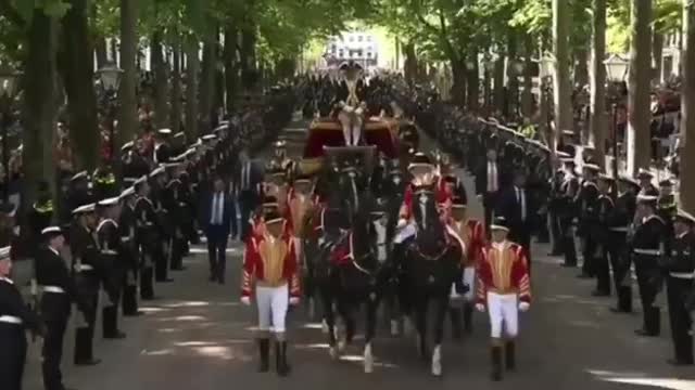 Never before seen in Holland! The Dutch people rise up. Insults, overturned flags