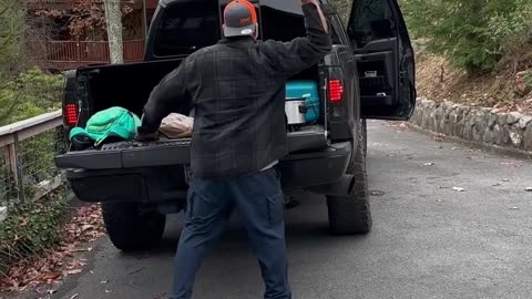 Bear Snags Drink from Pickup Truck