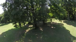 New camera angle