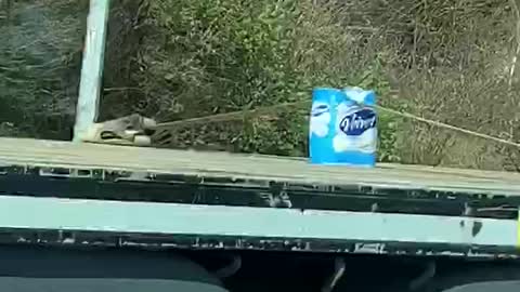 A Very Important Load Being Transported