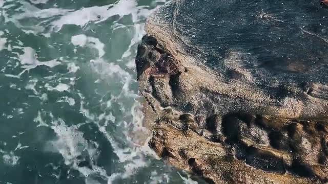 Ocean Waves Crashing On Rocks