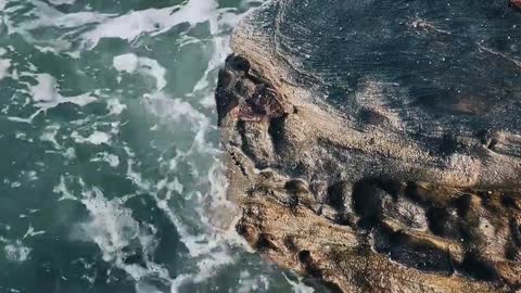 Ocean Waves Crashing On Rocks