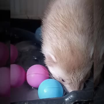 Now you're wet too!!!