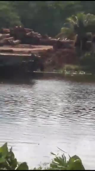 O Brasil sendo roubado : Olha aí, isso é extração legalizada? Aí a PF não vai, porque a ordem é não incomodar certo, Marina Tartaruga sem Casco?