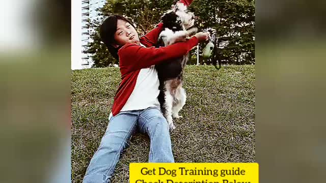Boy Was Training For Dog.