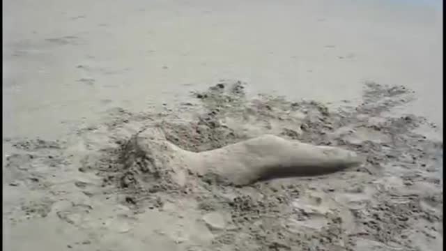 Man made Mermaid in the Sand