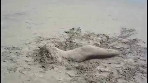 Man made Mermaid in the Sand