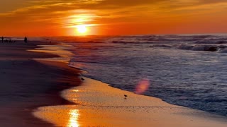 Beautiful Beach Sunrise