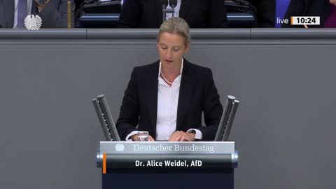 Alice Weidel - AfD Bundestag: nimmt deutsche Bundesregierung auseinander