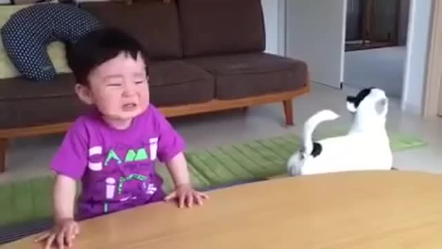 Funny dog annoying a kid