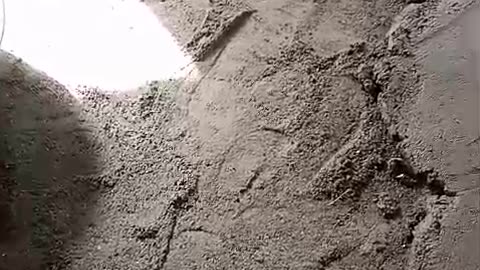 Labour work pakistani people