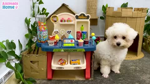 Smart BIBI helps dad go to the market