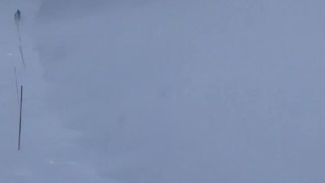 Skier Disappears into Powdery Mist