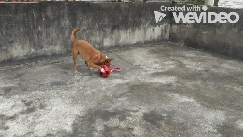 Pytty shows his skill with the ball.