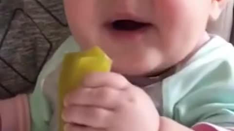 Funny Baby Videos eating