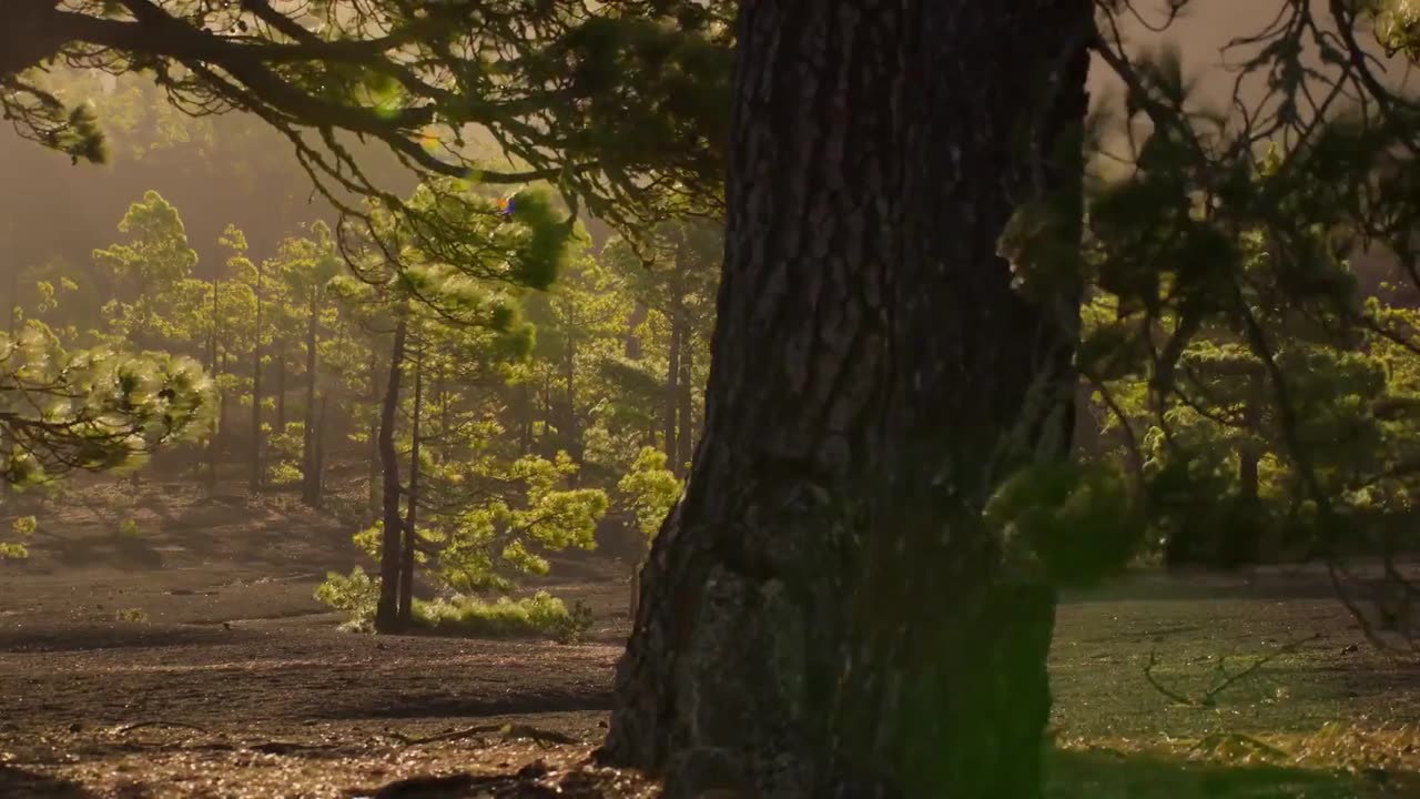 Life On Our Planet 3. Bölüm