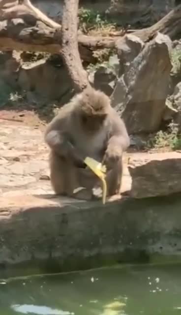 😂😂😂😂😂😂😂😂😂😂😂😂😂😂😂